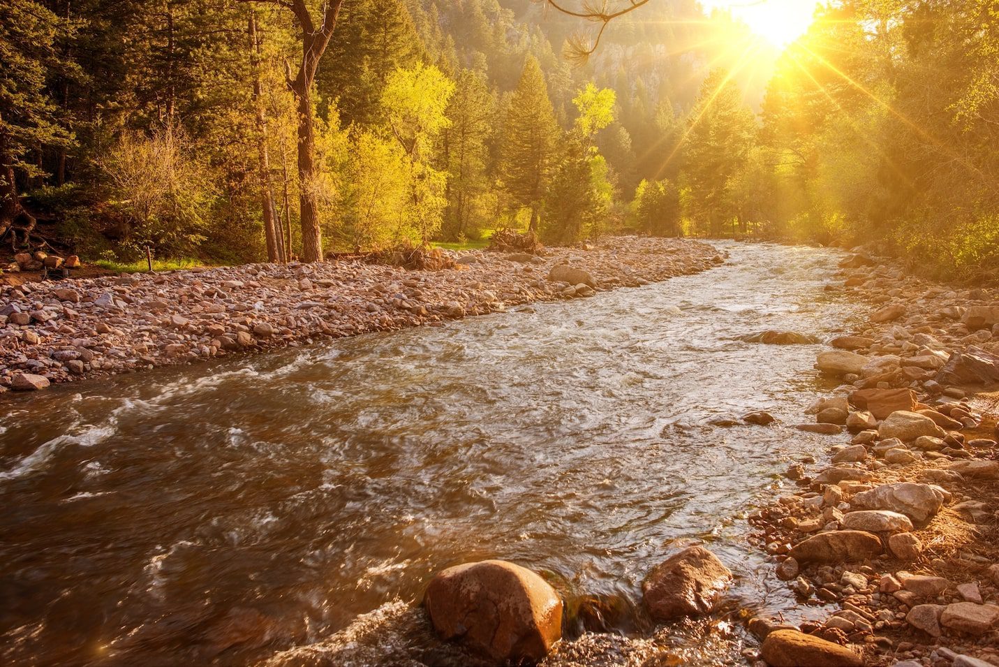 Boulder banner image